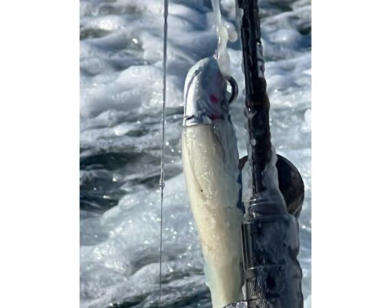 Savage Gear Skrei festival mrt 26