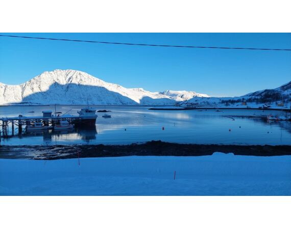 Savage Gear Skrei festival mrt 26