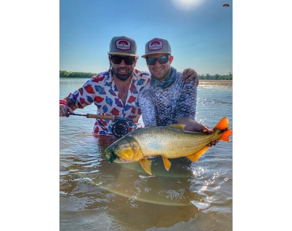 Argentinie, Golden Dorado