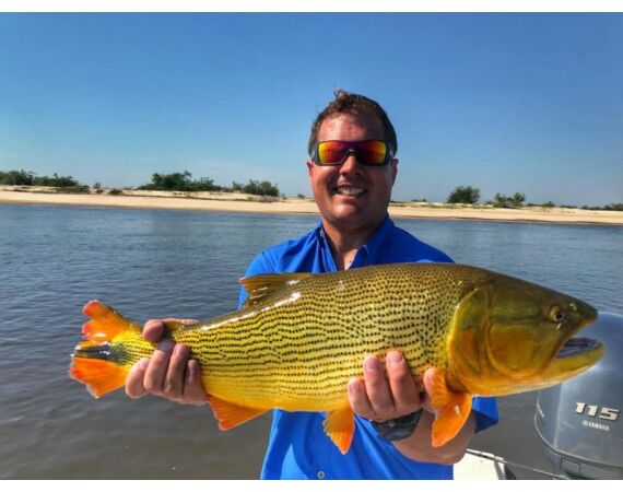 Argentinie, Golden Dorado