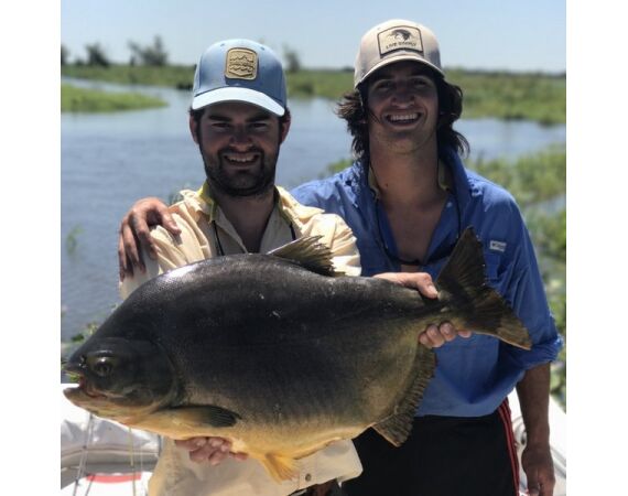 Argentinie, Golden Dorado