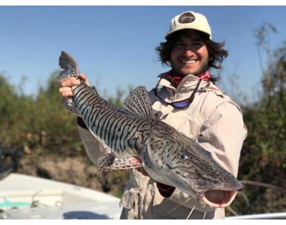 Argentinie, Golden Dorado