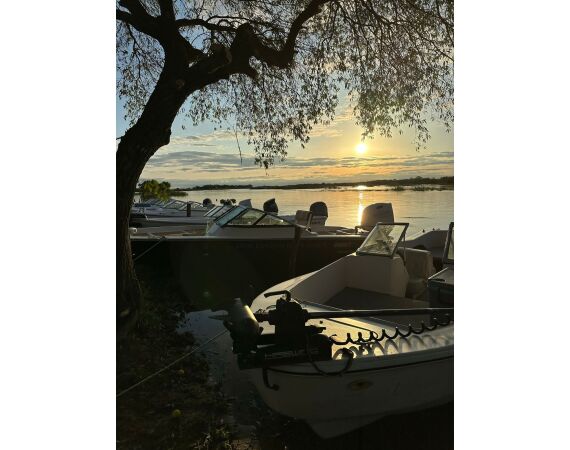 Argentinie, Golden Dorado