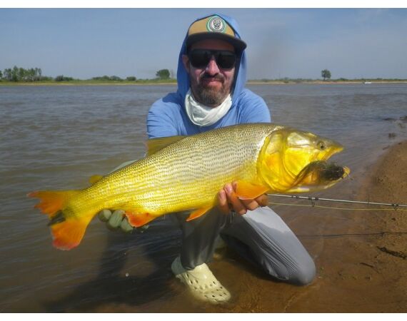 Argentinie, Golden Dorado