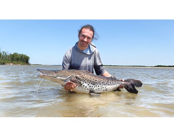 Argentinie, Golden Dorado