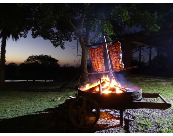 Argentinie, Golden Dorado