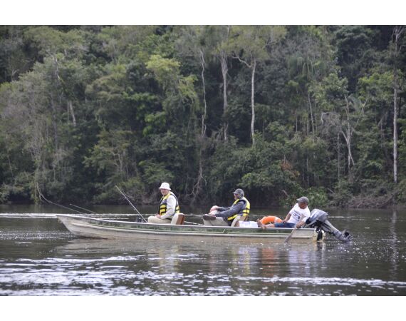 Amazone Guyana okt 2026