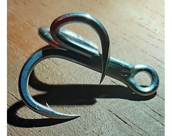 Amazone Guyana okt 2026