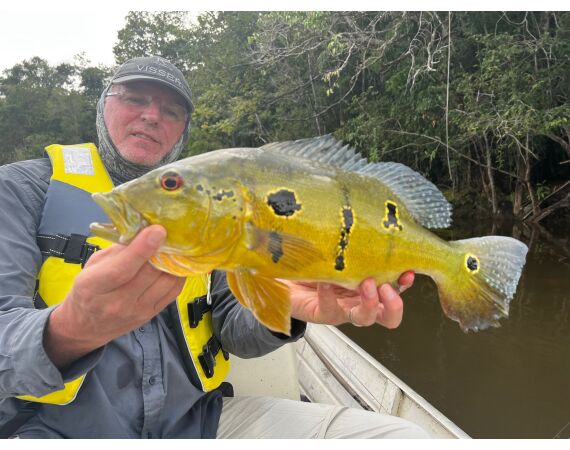 Amazone Guyana okt 2026