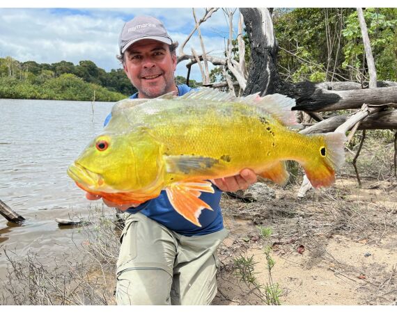 Amazone Guyana okt 2026