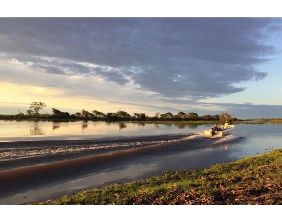 Argentinie, Golden Dorado okt 2026