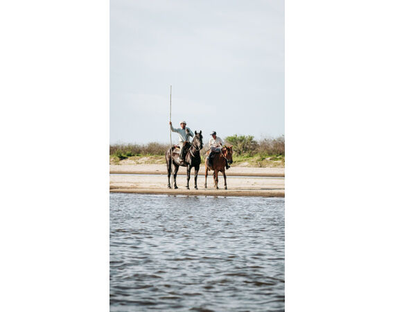 Argentinie, Golden Dorado okt 2026