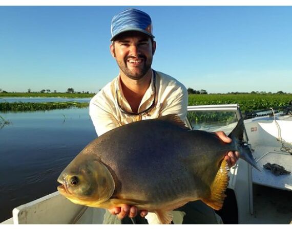 Argentinie, Golden Dorado okt 2026