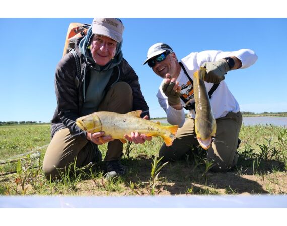 Argentinie, Golden Dorado okt 2026