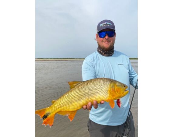 Argentinie, Golden Dorado okt 2026