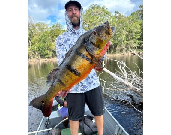 Peacock Bass Houseboat feb 27