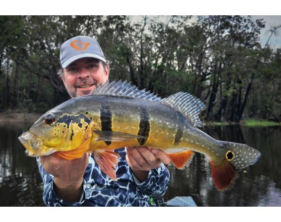 Peacock Bass Houseboat feb 27