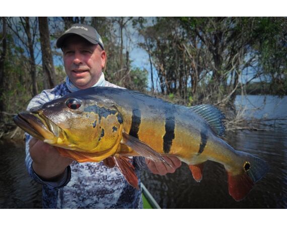 Peacock Bass Houseboat feb 27
