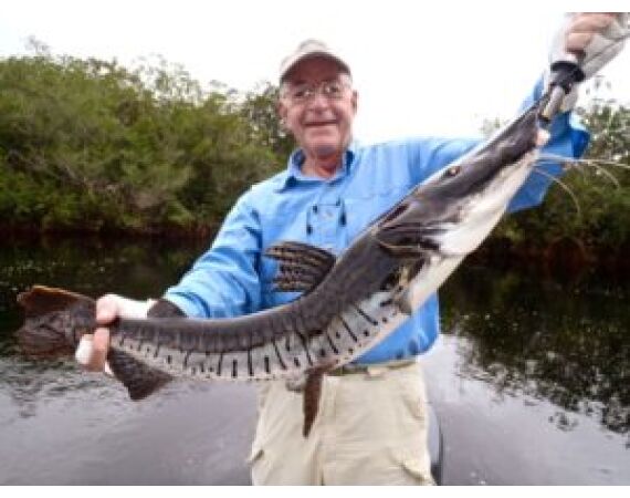 Peacock Bass Houseboat feb 27