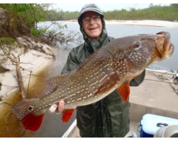 Peacock Bass Houseboat feb 27