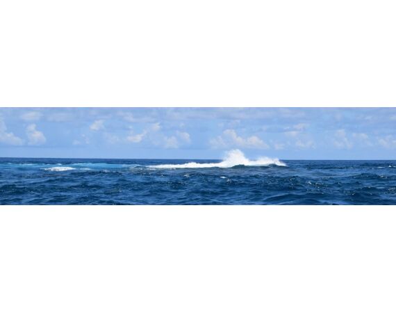 Pop & jig in Andaman feb 27