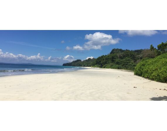 Pop & jig in Andaman feb 27