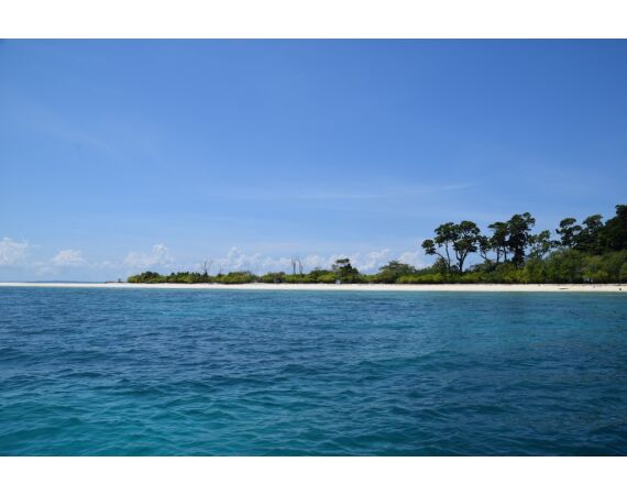 Pop & jig in Andaman feb 27