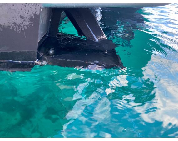 Nipro Noorwegen Festival mei 2026