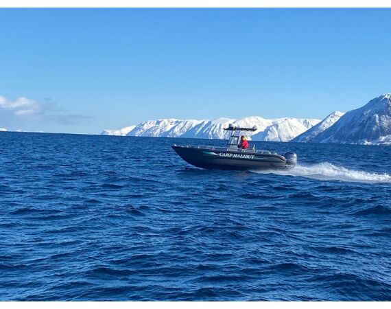 Nipro Noorwegen Festival mei 2026