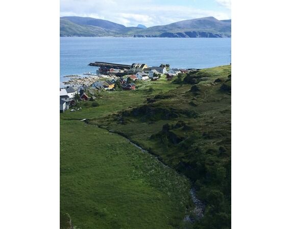 Nipro Noorwegen Festival mei 2026