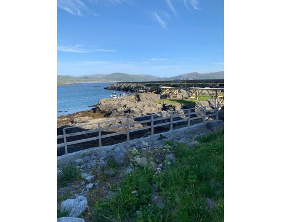 Nipro Noorwegen Festival mei 2026