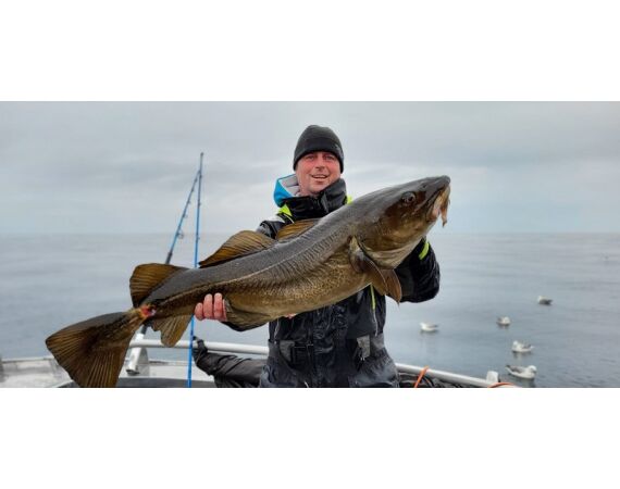 Nipro Noorwegen Festival mei 2026