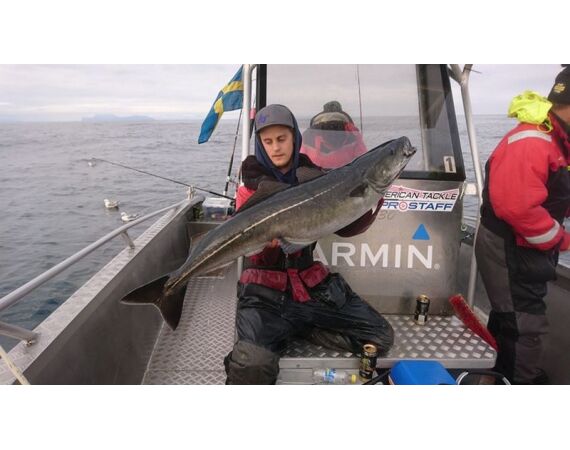 Nipro Noorwegen Festival mei 2026