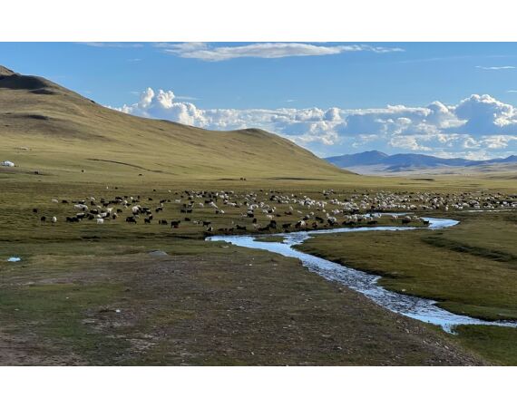 Mongolie Taimen