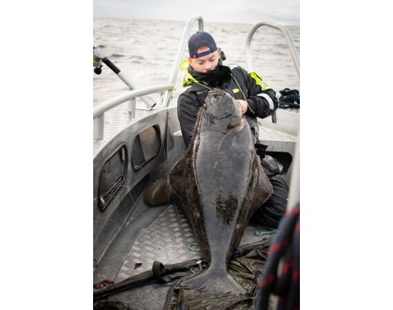 Savage Gear Heilbot festival sep 26