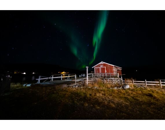 Savage Gear Heilbot festival sep 26