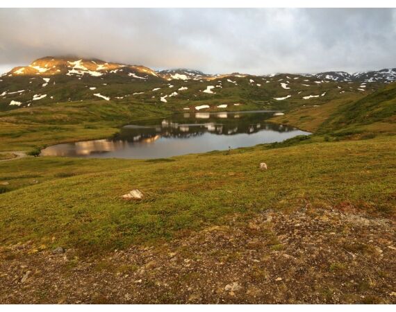 Savage Gear Heilbot festival sep 26