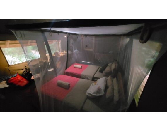 Nijlbaars Oeganda mrt 26