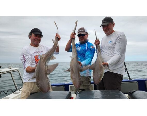 Zuid Afrika Mosselbaai nov 2026