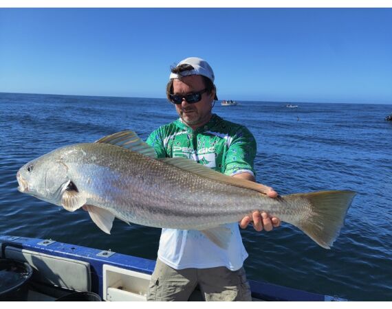 Zuid Afrika Mosselbaai nov 2026