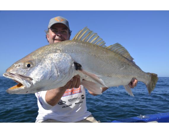 Zuid Afrika Mosselbaai nov 2026