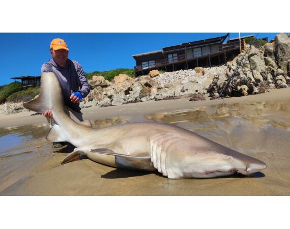 Zuid Afrika Mosselbaai nov 2026