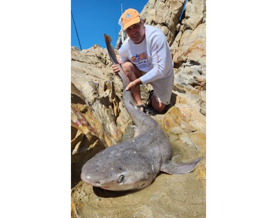 Zuid Afrika Mosselbaai nov 2026