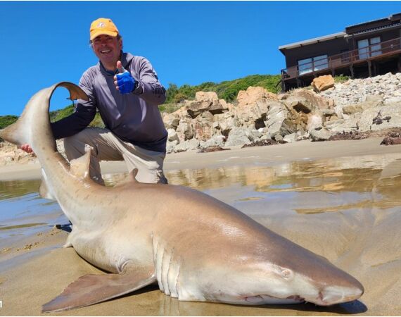 Zuid Afrika Mosselbaai nov 2026