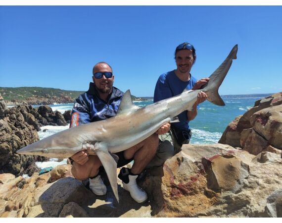 Zuid Afrika Mosselbaai nov 2026