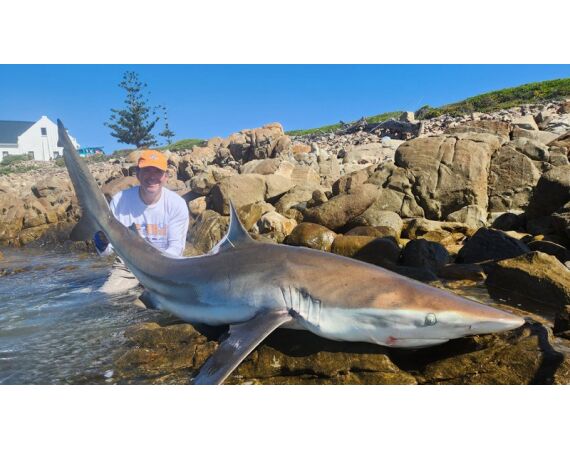 Zuid Afrika Mosselbaai nov 2026