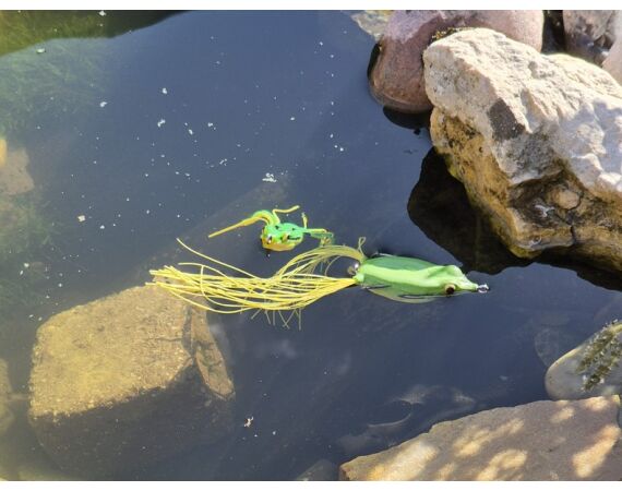 Spaanse bellyboat Black Bass