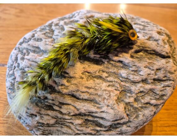 Spaanse bellyboat Black Bass