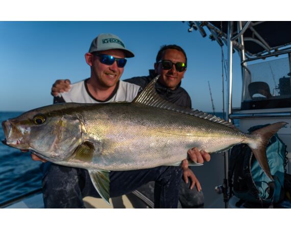 Nipro goes Egypt! mrt 26