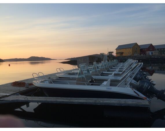 Rien de Wolf Noorwegen festival mei 2026